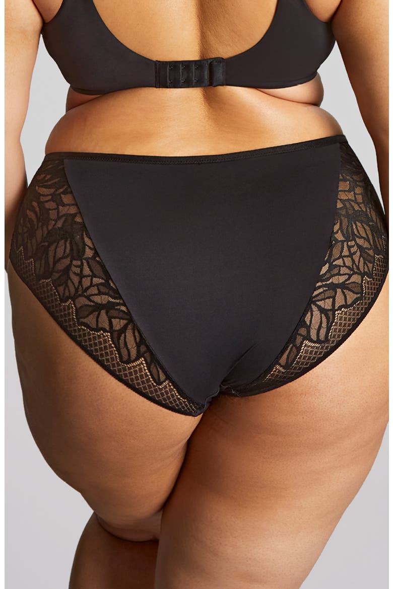 Sophia Lace Cheeky Briefs, Alternate, color, BLACK