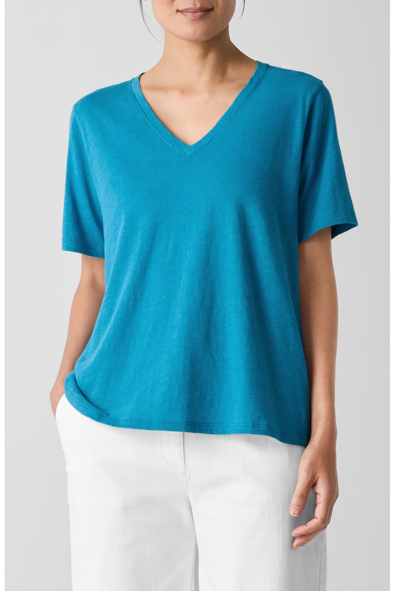 Easy V-Neck Organic Cotton T-Shirt, Main, color, DRAGONFLY