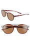  Tortoise/Brown