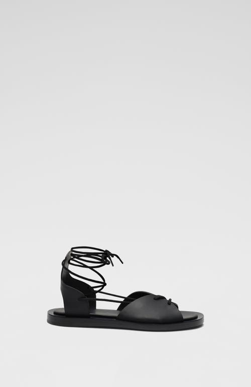 Co Gladiator Sandal