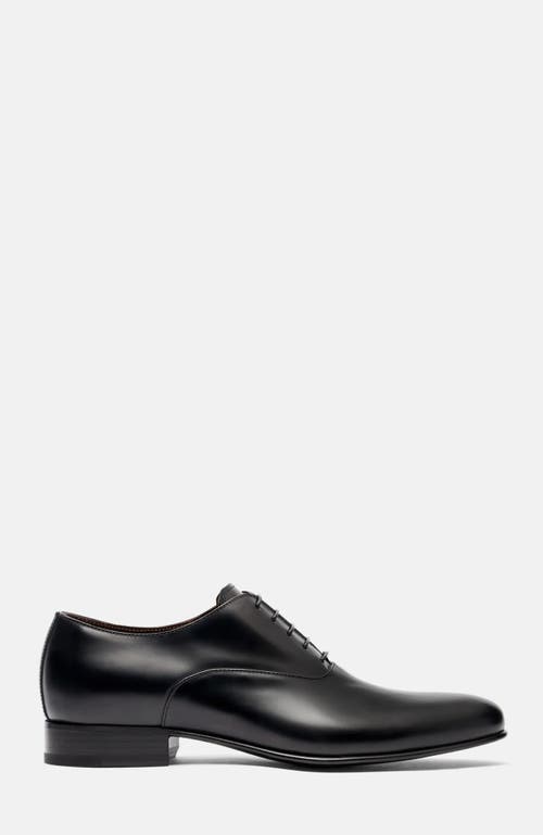 Scarosso Ballo Oxfords
