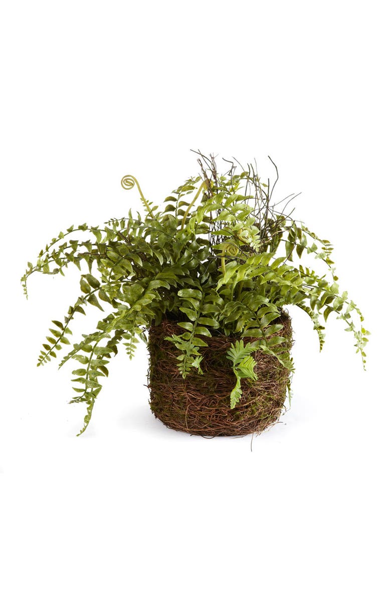 Napa Home & Garden Boston Fern Rustic Drop-In 12", Main, color, Green