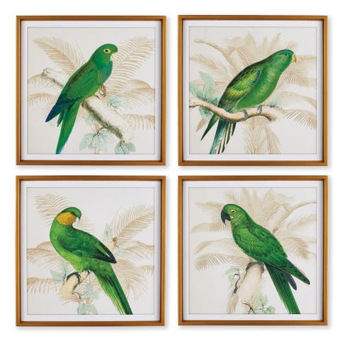 Green Parrots Study Set of 4