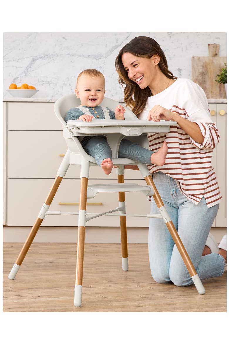 EON 4-in-1 High Chair, Alternate, color, OAT