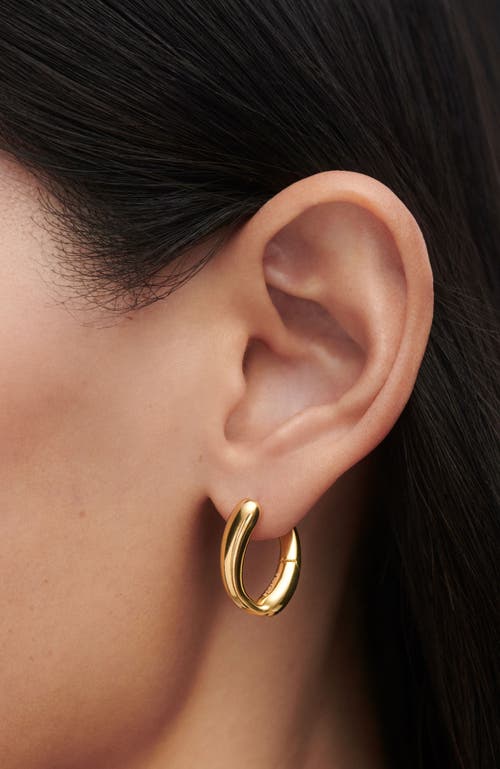 Pdpaola Helix Hoops In Gold