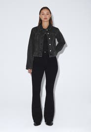 Dr. Denim Moxy High Flare Jeans