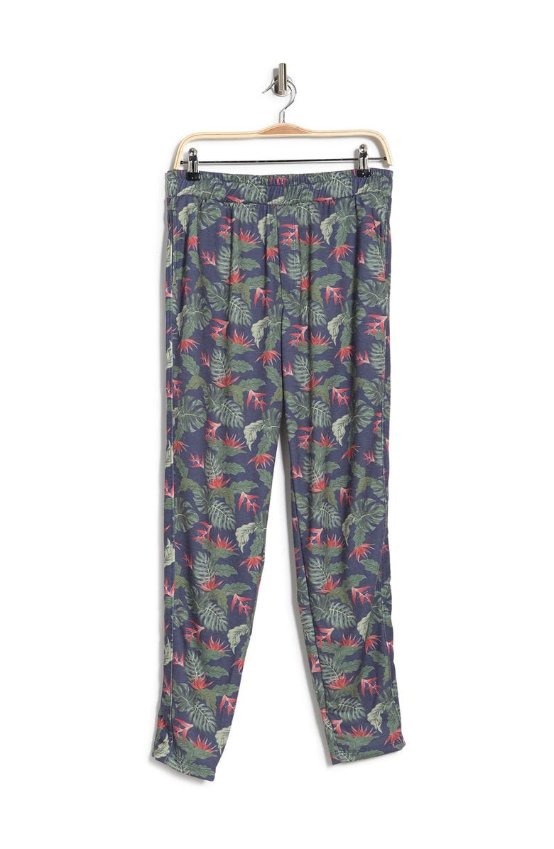 CHILLIN DYLAN Baja Man Printed Pants, Alternate, color, 