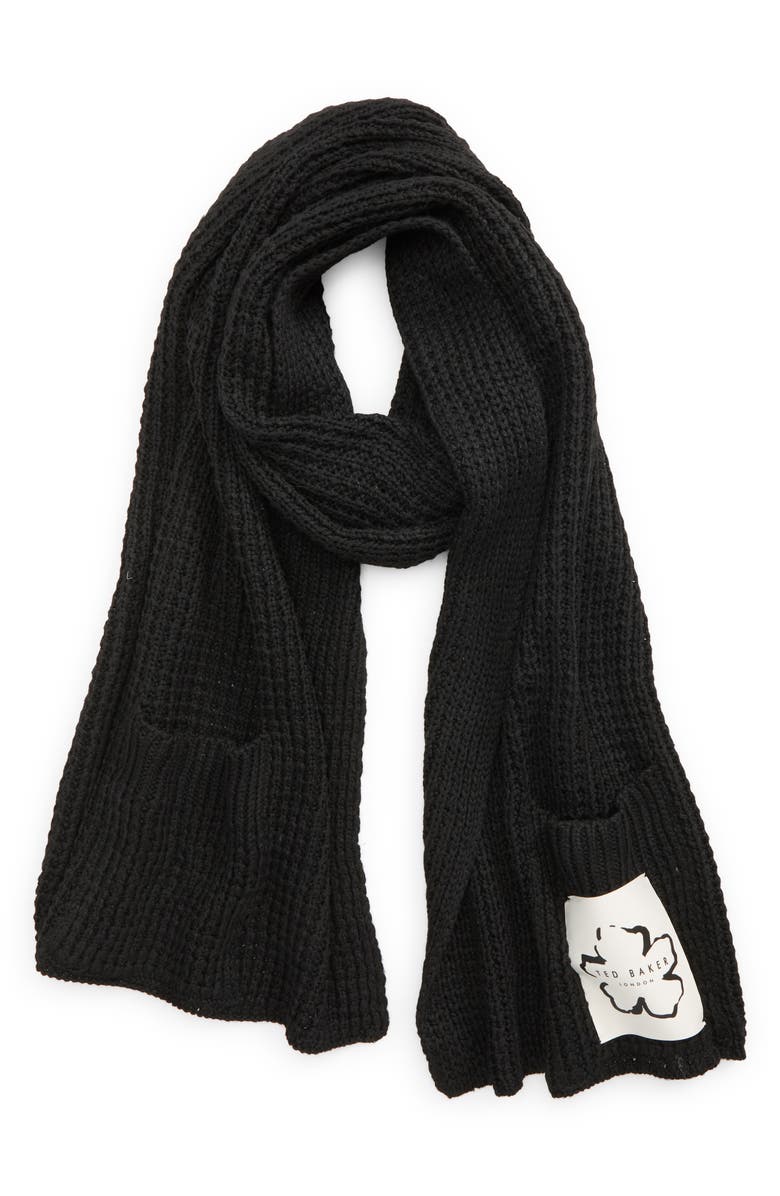 Ted Baker London Bex Dasher Scarf, Main, color, 