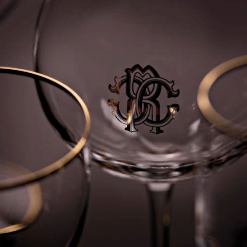 Cavalli Wine Goblet In Transparent