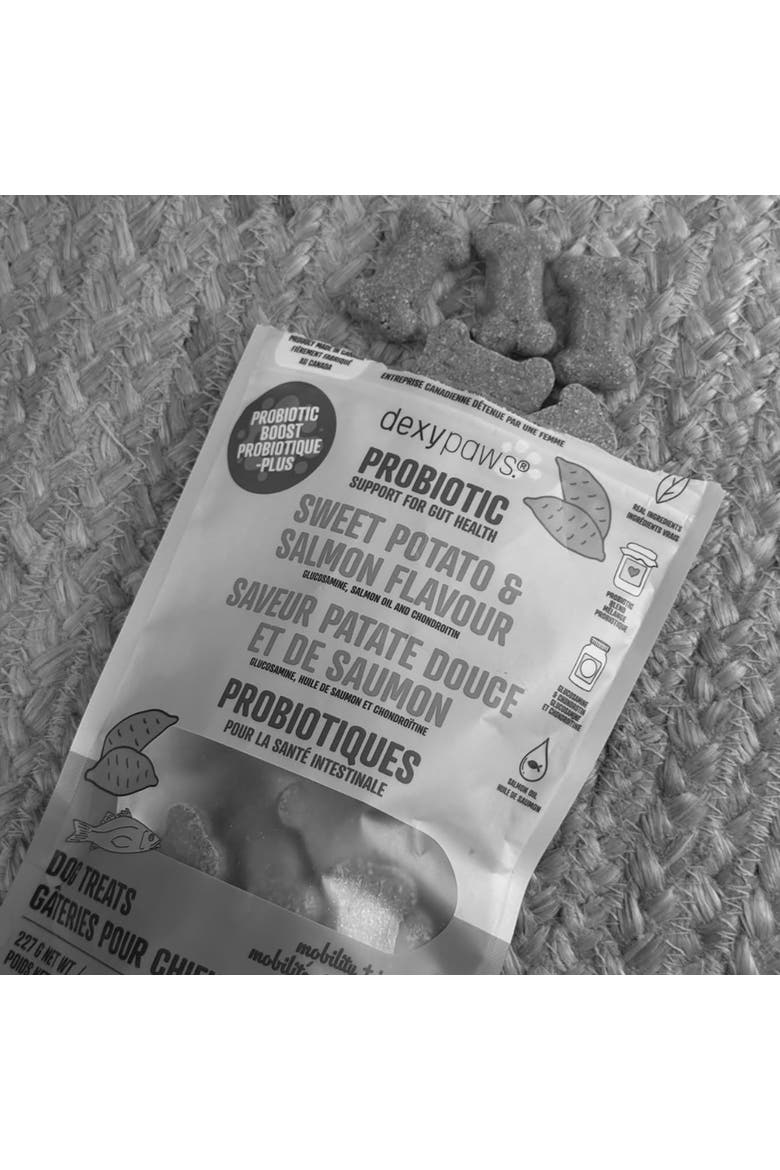 Sweet Potato & Salmon 8oz Probiotic Dog Treats, Alternate, color, Red