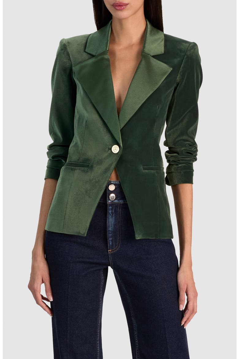 Sable Fitted Velvet Blazer, Main, color, DARK FERN