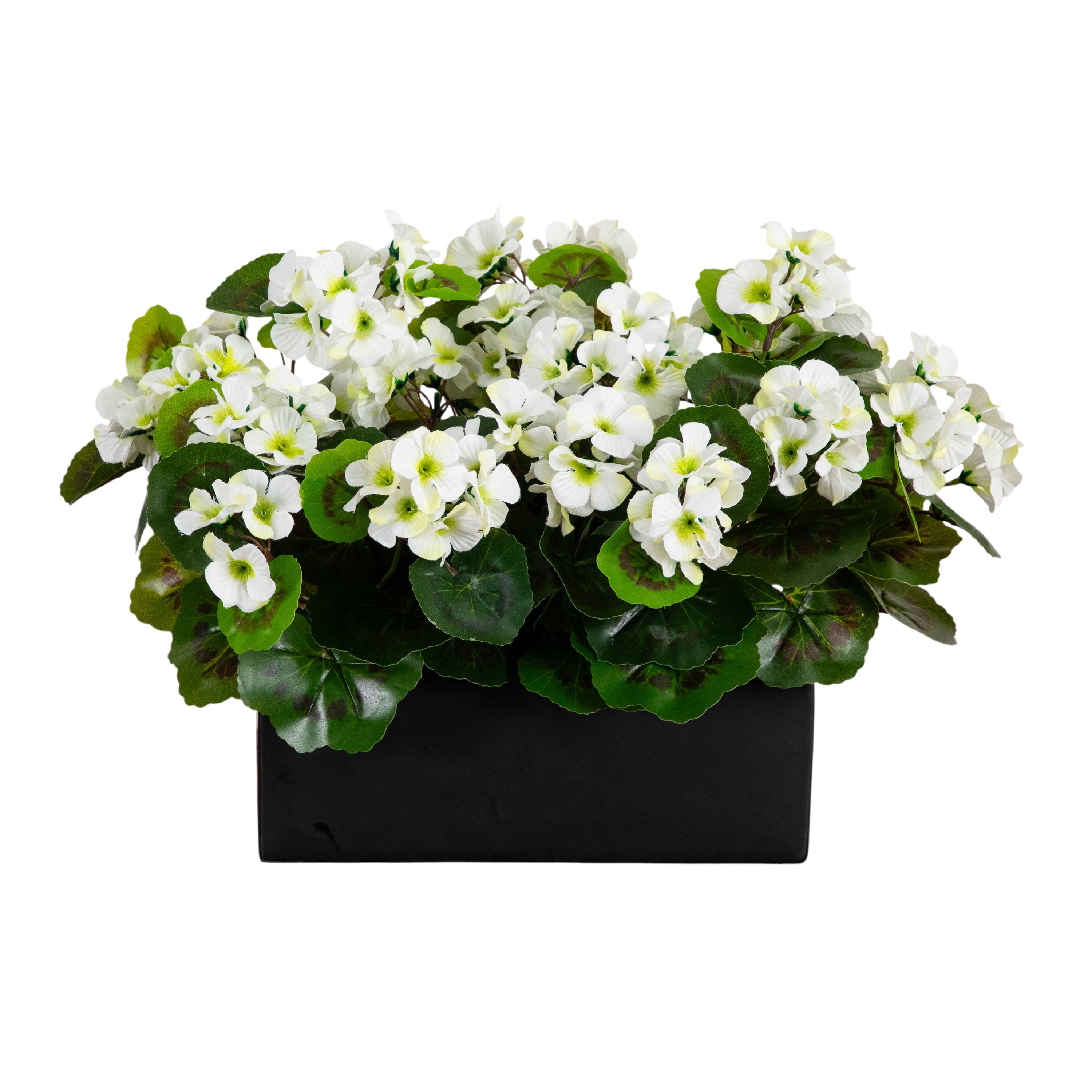 selected White