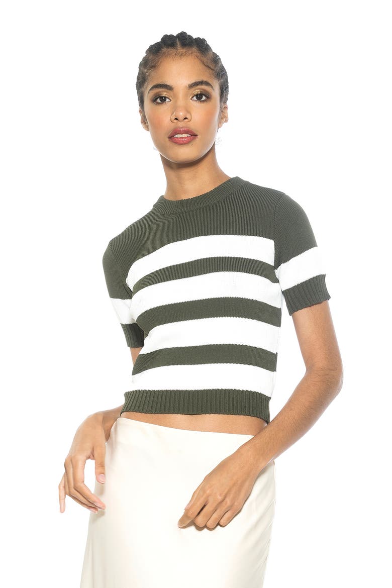 Pat Stripe Short Sleeve Sweater Top, Alternate, color, SAGE