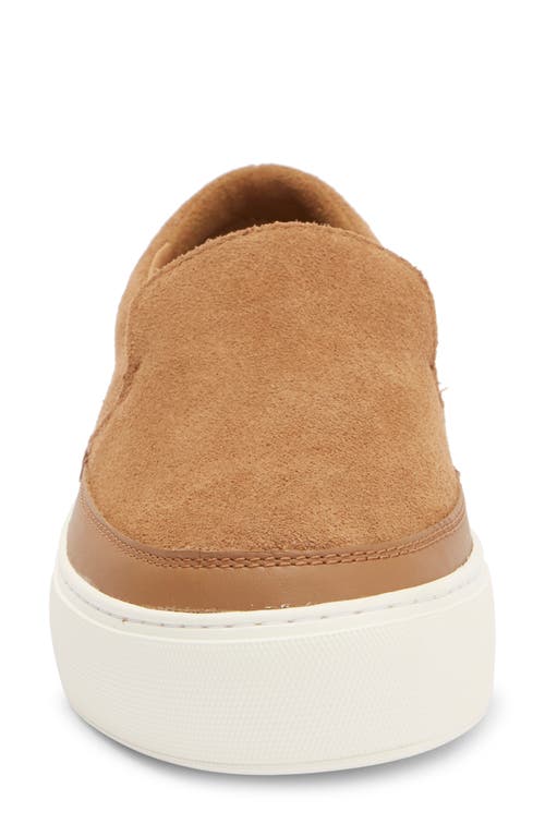 Ugg ® Zilo Slip-on Sneaker In Chestnut