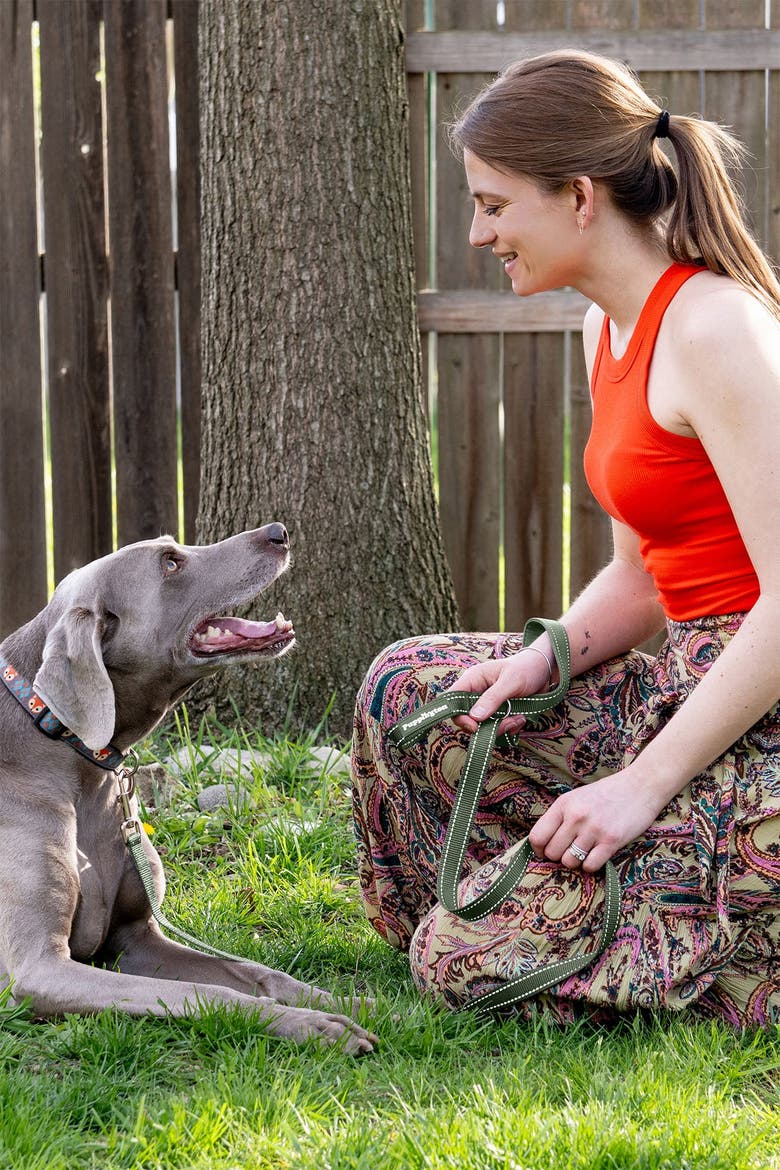 Reflective Leash, Alternate, color, Basil Green