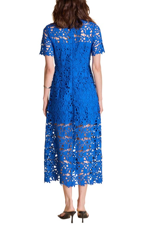 Shop Endless Rose Allover Lace Midi Dress