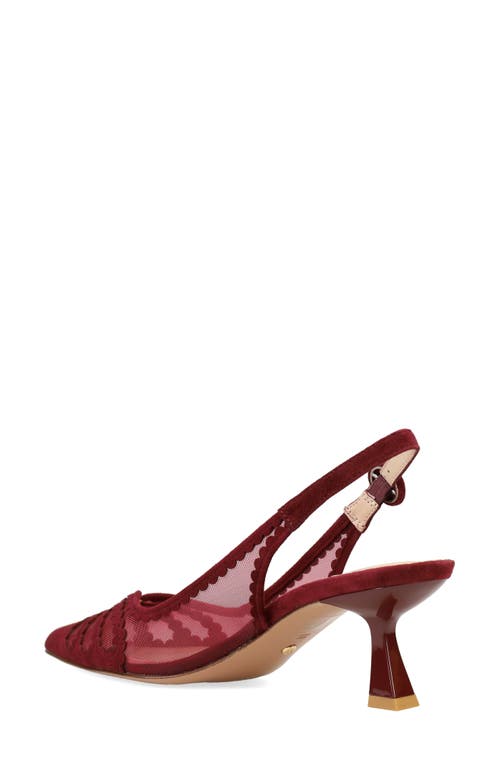 Pelle Moda Jacie Slingback Pointed Toe Pump In Burgundy