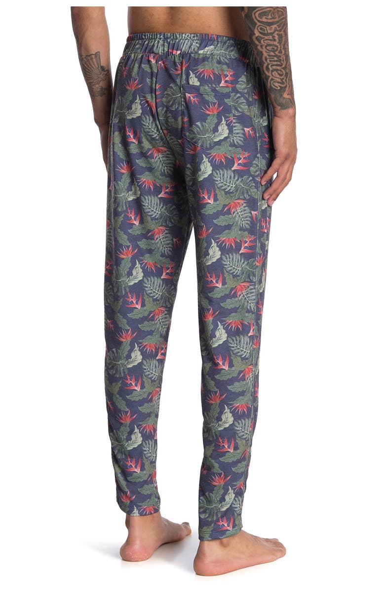 CHILLIN DYLAN Baja Man Printed Pants, Alternate, color, 