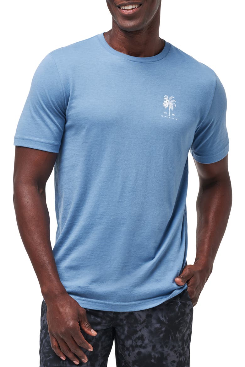 Palm Grass Graphic T-Shirt, Main, color, CORONET