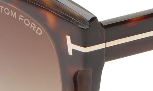 Tom Ford Tori 53mm Cat Eye Sunglasses In Brown