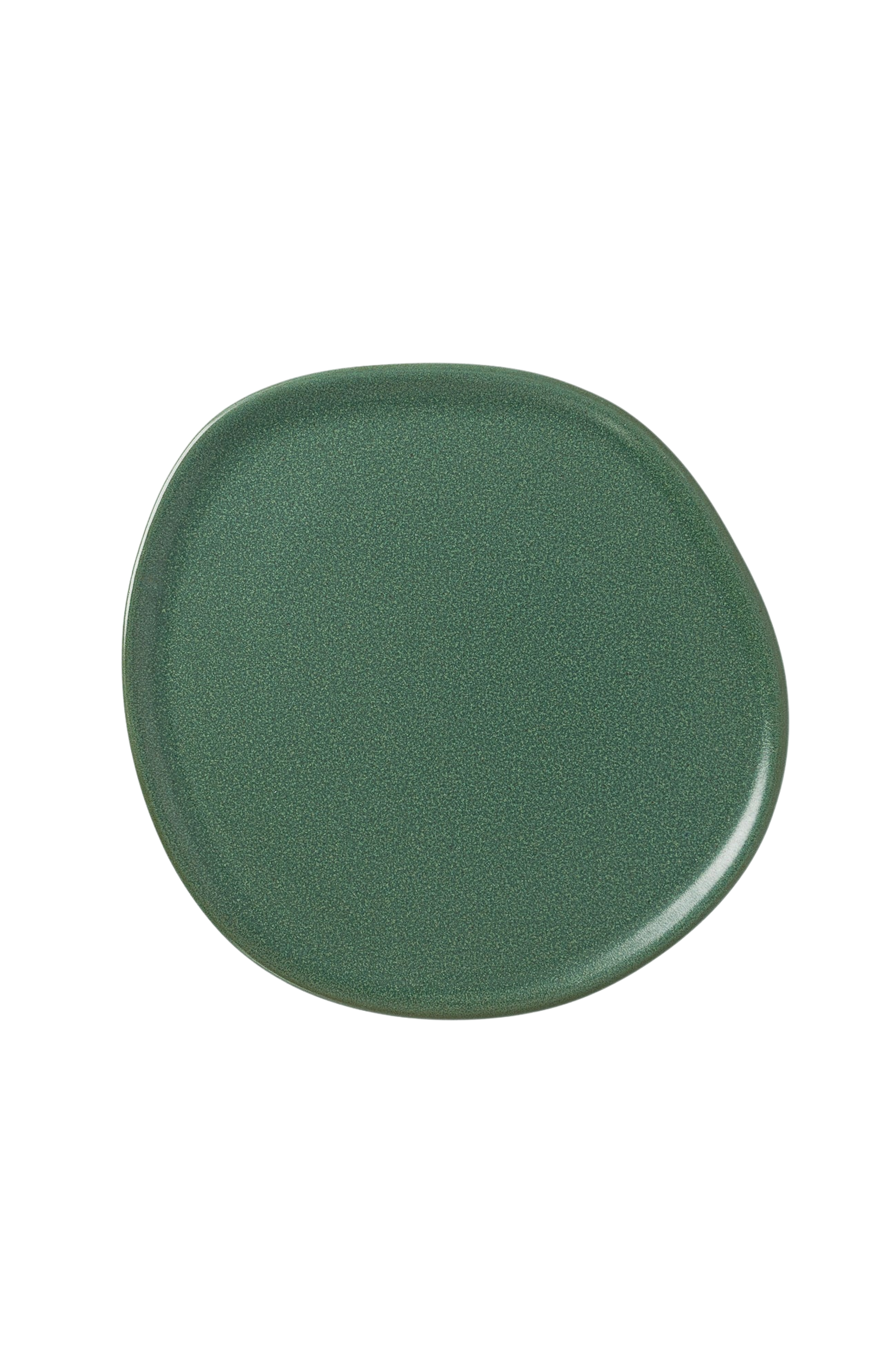 Fern / Individual