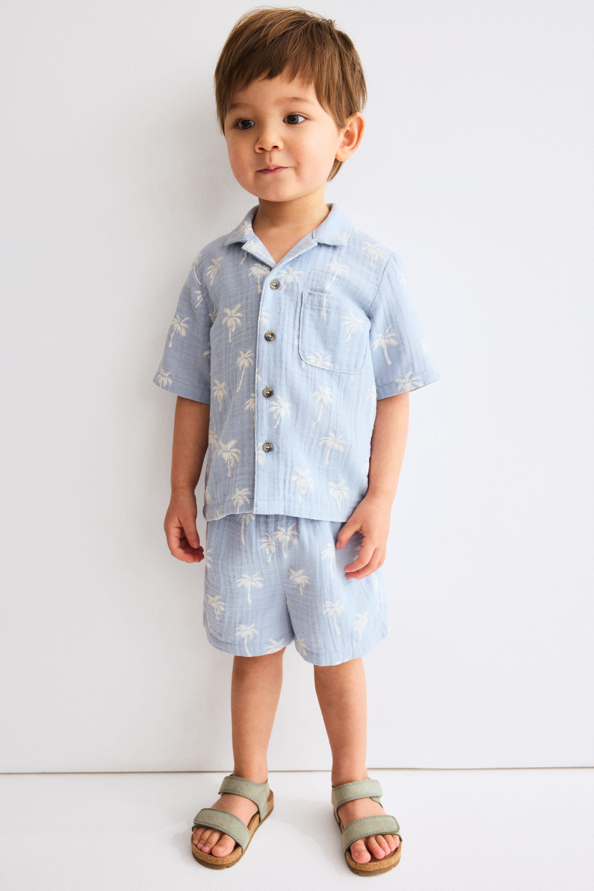 selected Light blue/palm trees