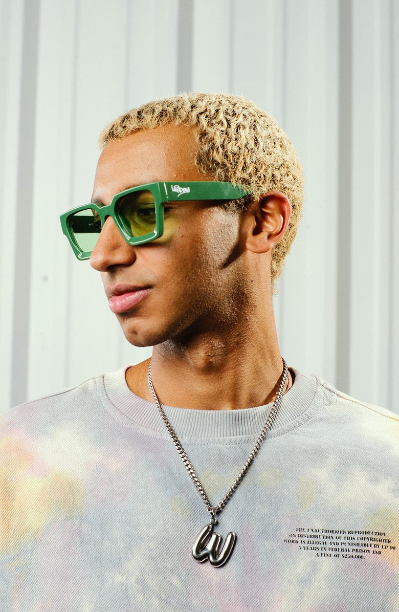 Wisdom Fashion House Dart Frog Frame 6, Alternate, color, 