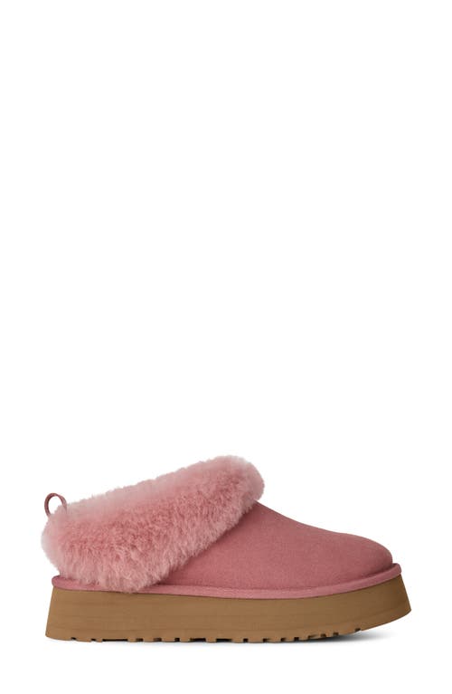 Ugg(r) Tazzelle Genuine Shearling Collar Slipper In Pink