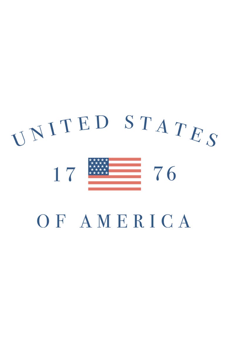 Juniors Lost Gods United States of America 1776 T Shirt, Alternate, color, White