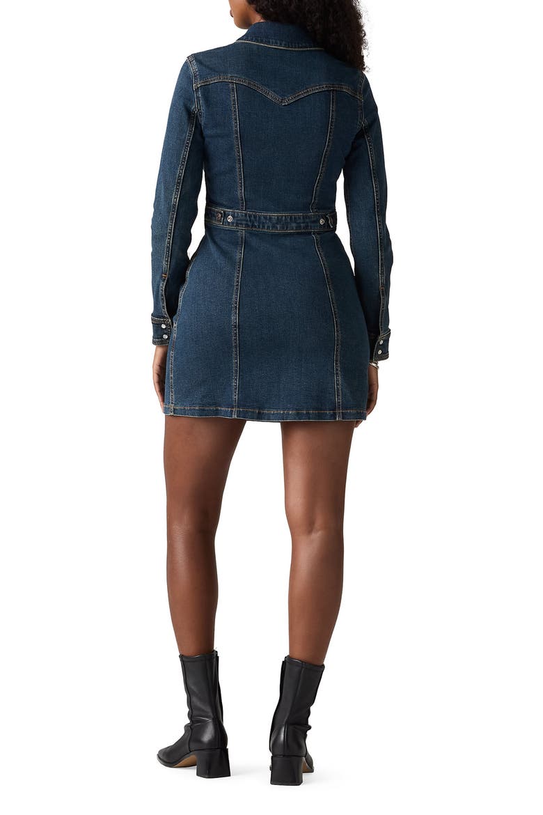 Retro Long Sleeve Denim Minidress, Alternate, color, DOLLY PARDON ME