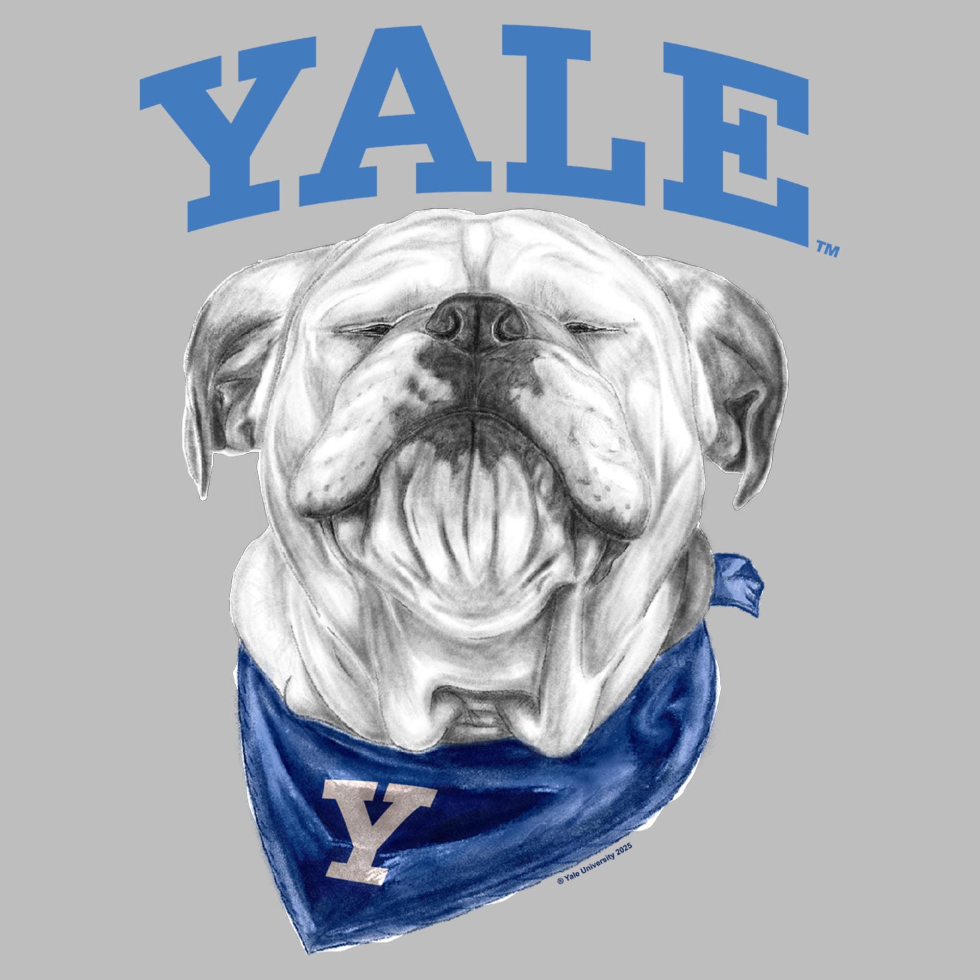 Yale University Men's Happy Handsome Dan Logo Short Sleeve Graphic T ...