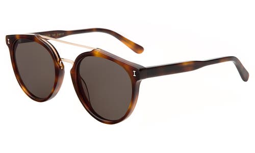 Illesteva Puglia Sunglasses In Rum Raisin Bone