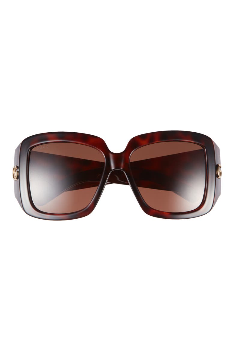 55mm Square Sunglasses, Main, color, HAVANA HAVANA BROWN