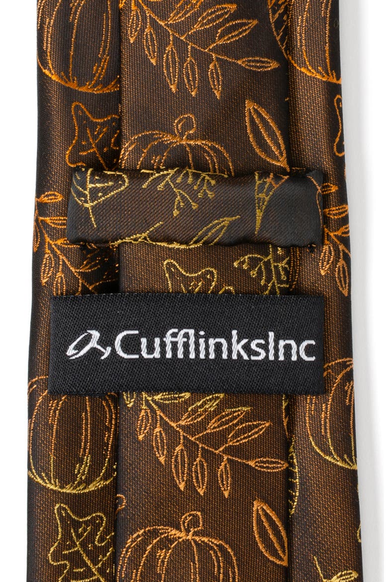 Fall Spice Silk Blend Tie, Alternate, color, BROWN