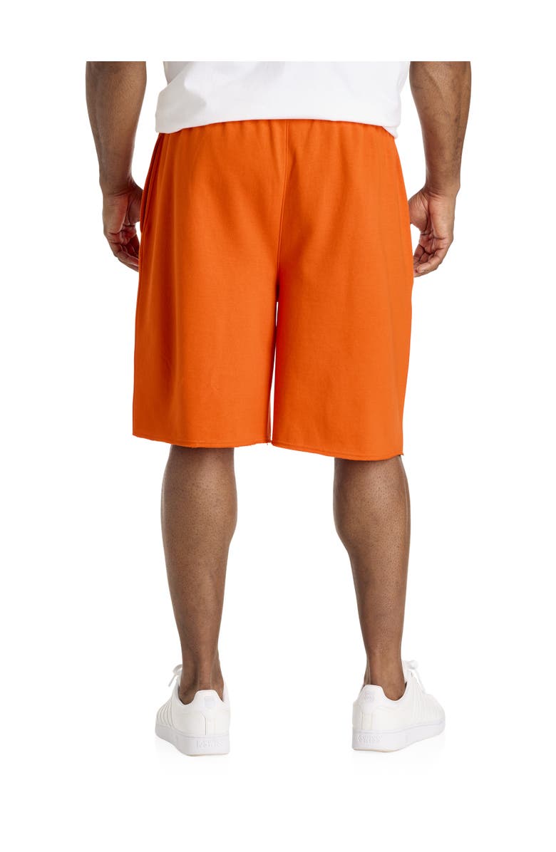 Champion Big & Tall Powerblend<sup>®</sup> Fleece Shorts, Alternate, color, 
