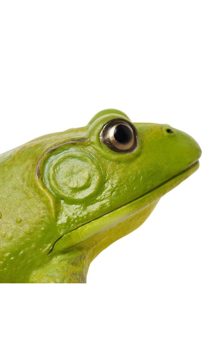 Safari Ltd. American Bullfrog Toy, Alternate, color, NO COLOR