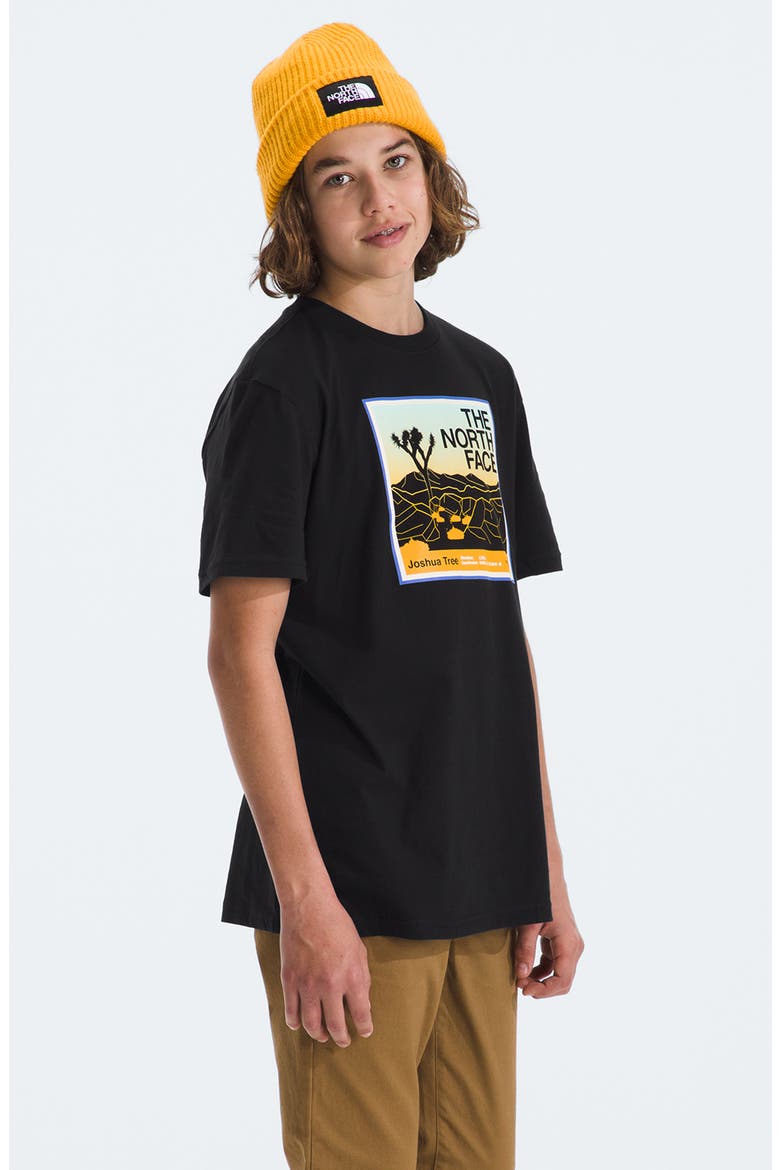 Kids' Adventure Cotton Graphic T-Shirt, Alternate, color, THE NORTH FACE BLACK