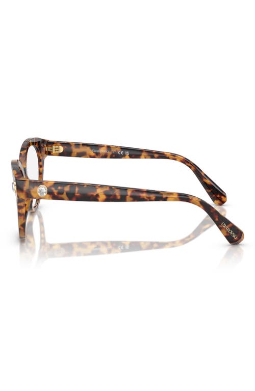 Swarovski 54mm Round Optical Glasses In Lite Havana