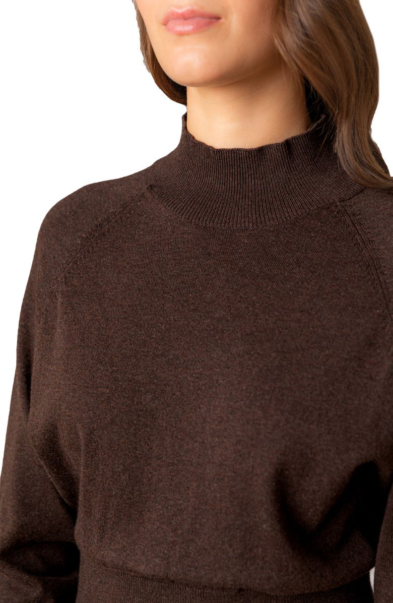 Hope & Henry Women's Dolman Sleeve Sweater Dress, Alternate, color, Chocolate Heather