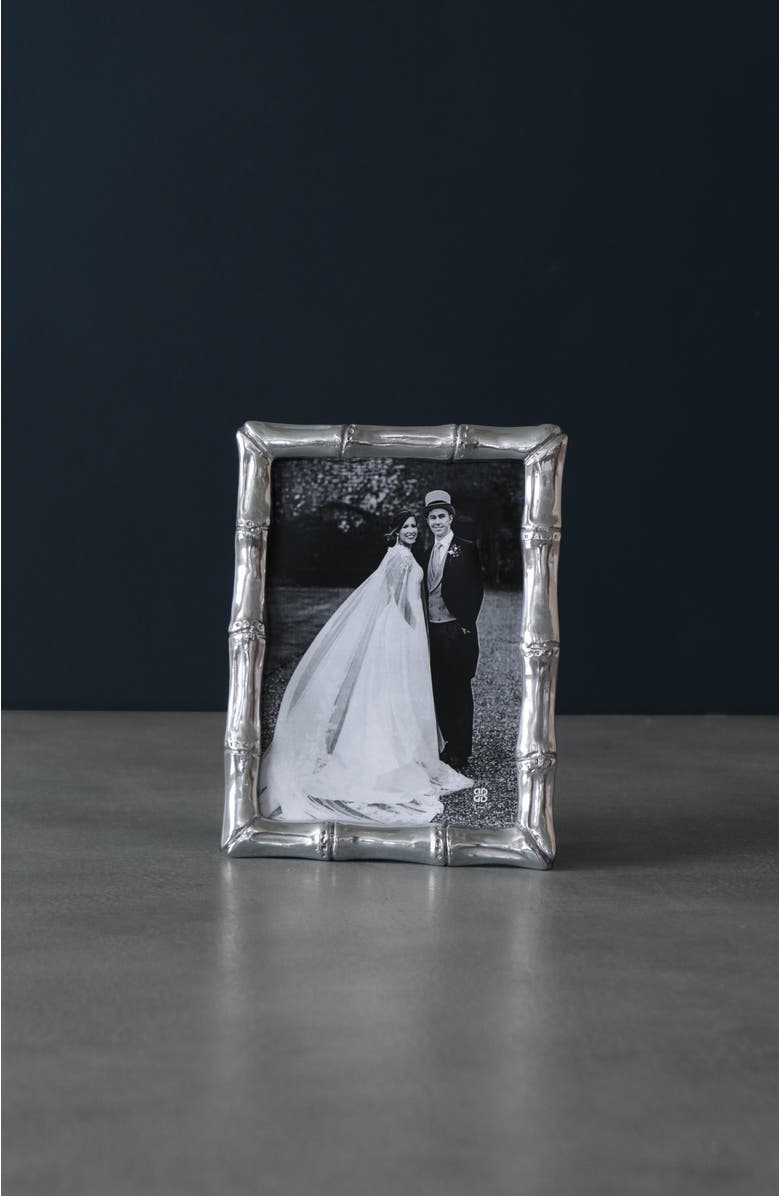 BEATRIZ BALL Collection FRAME Garden Cane 5 x 7 Frame, Main, color, Silver