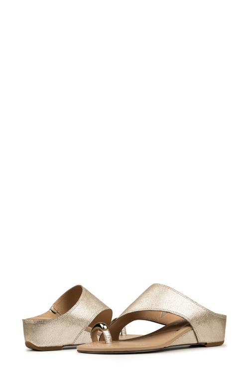 DONALD PLINER DONALD PLINER VESNA TOE LOOP WEDGE SANDAL