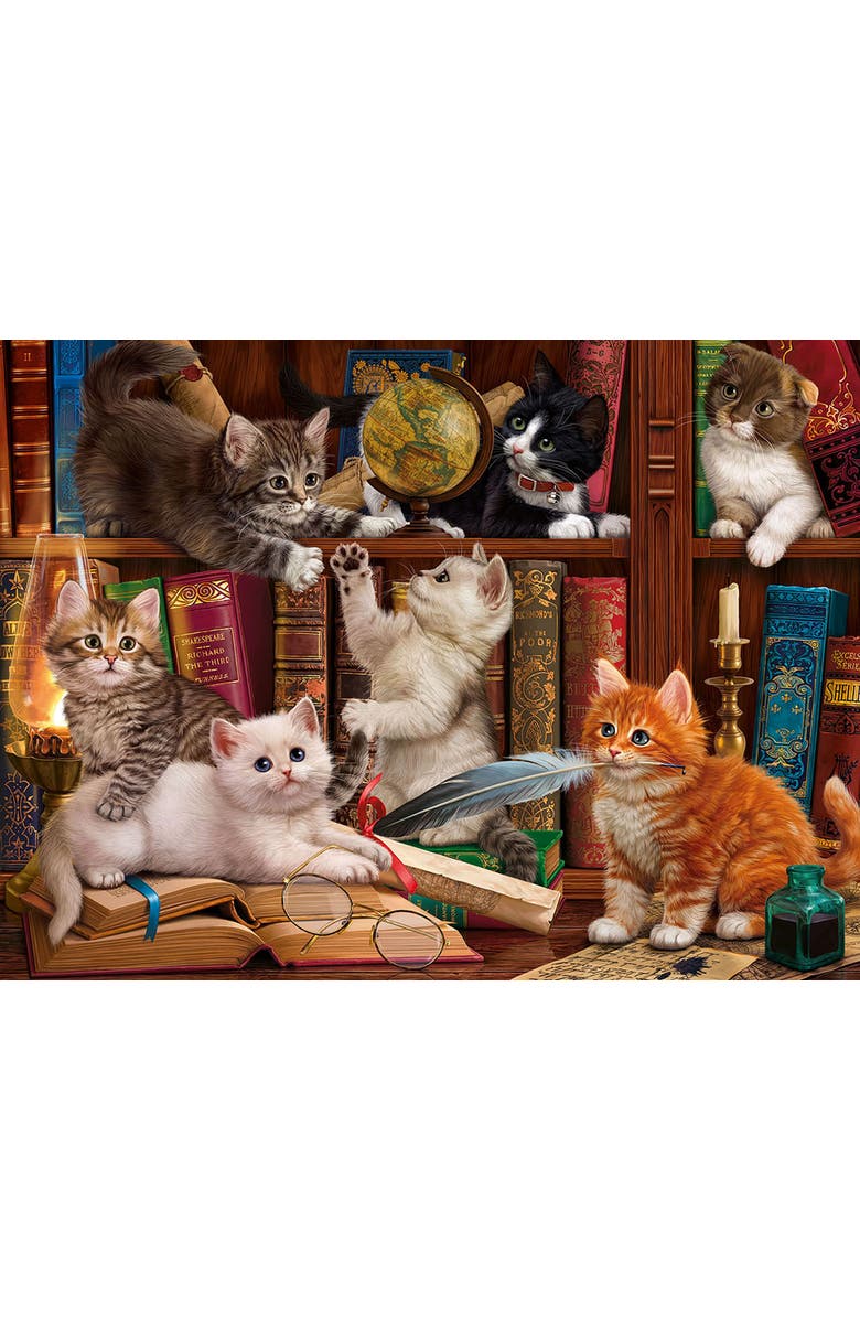 Sunsout Library Kittens 1000 piece Jigsaw Puzzle for Adults, Alternate, color, Multicolor
