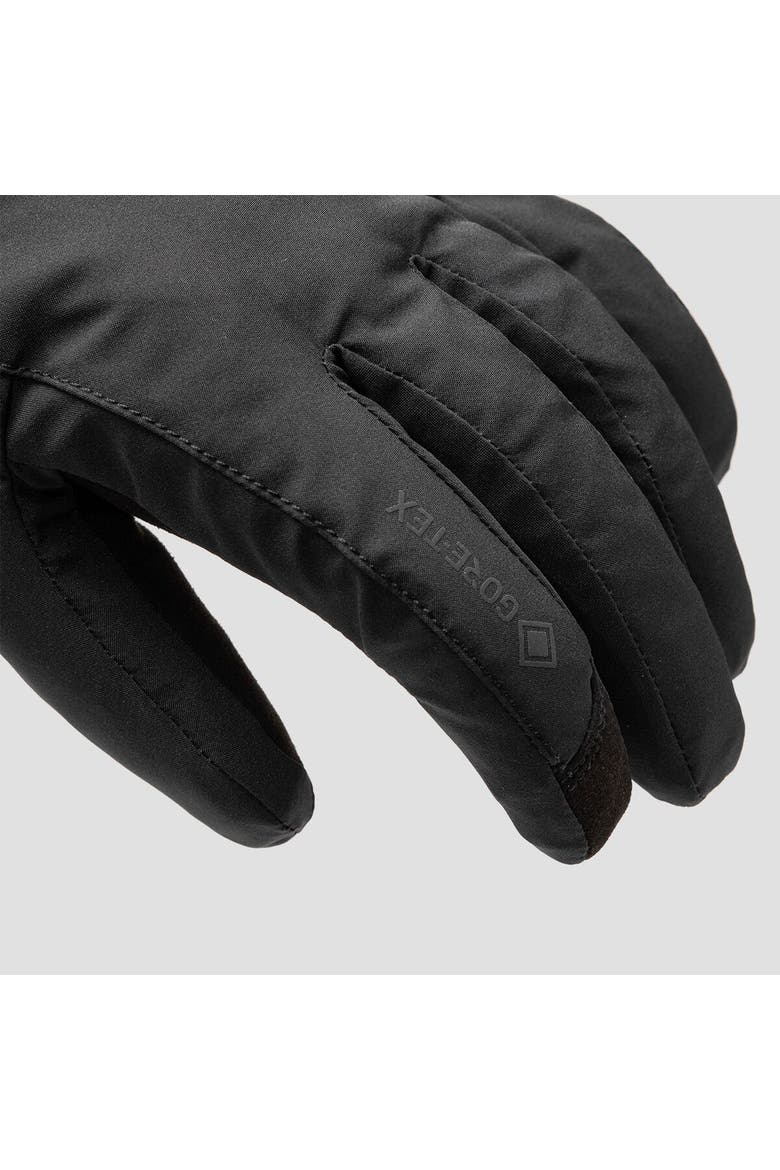 Endure Gore-Tex Insulated Glove - Men's, Alternate, color, Black