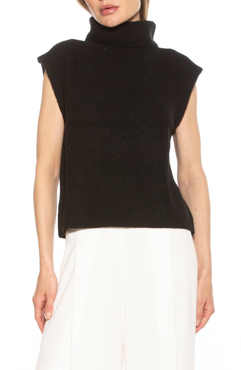 Alexia Admor Jaylani Sleeveless Turtleneck Sweater, Main, color, Black