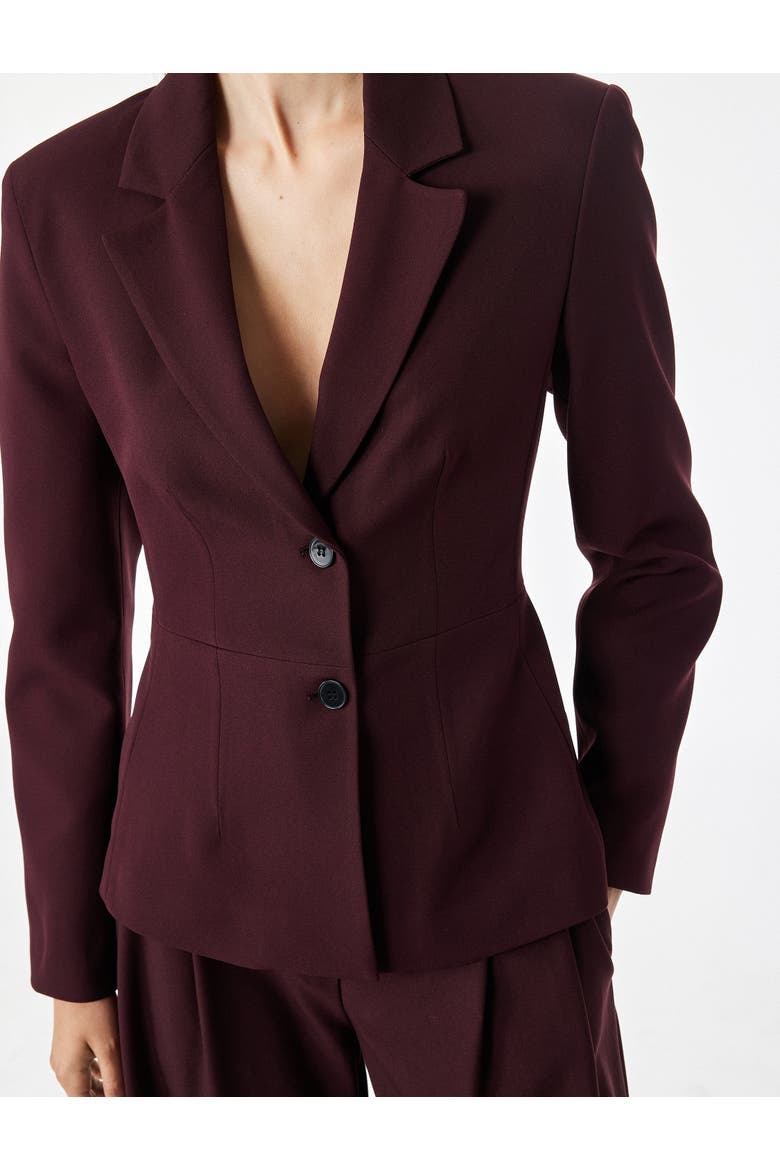 Long Sleeve Shaped Waist Notch Lapel Blazer, Alternate, color, BORDEUX