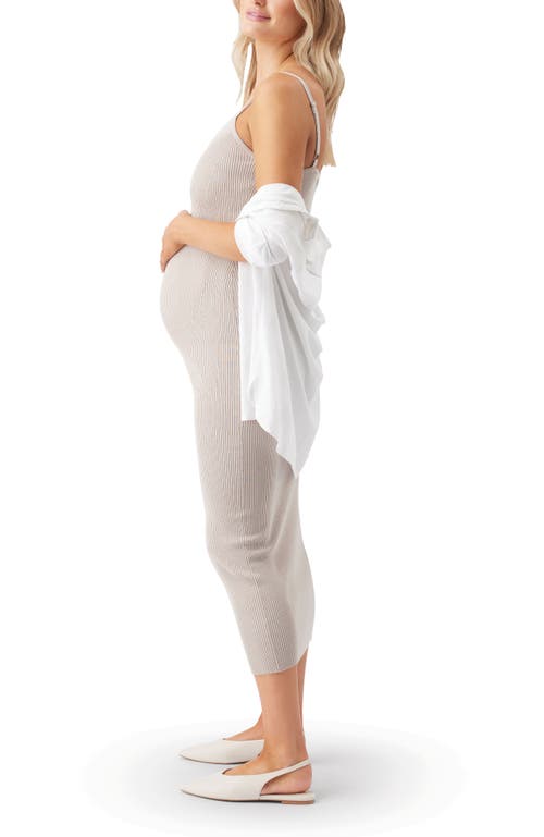 Ripe Maternity Celine Rib Knit Dress In Gray