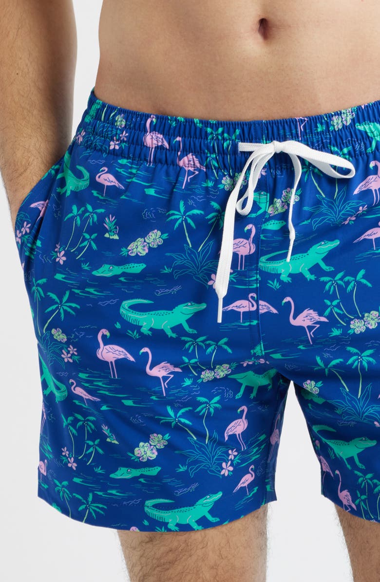 Chubbies The Swamp & Circumstance 5.5-Inch Swim Trunks, Alternate, color, Bright Blue