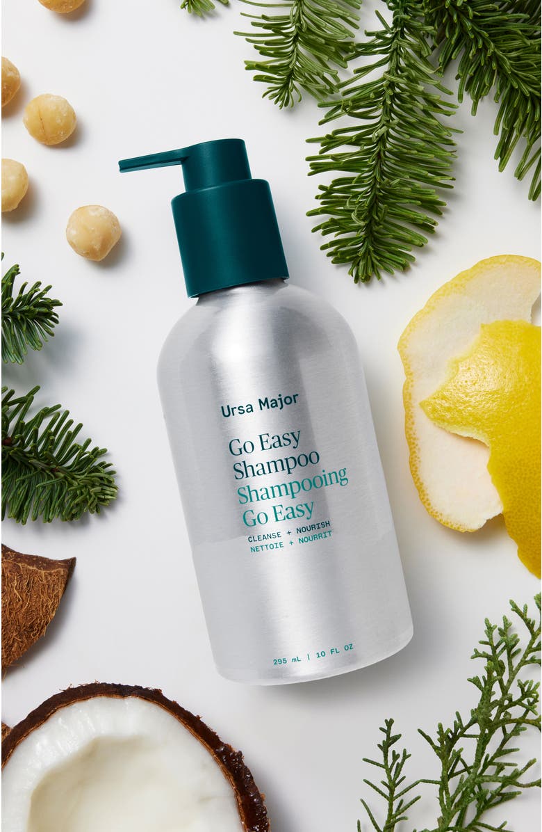 Ursa Major Go Easy Shampoo, Alternate, color, Silver