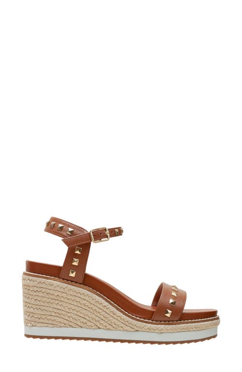 Linea Paolo Vichi Ankle Strap Espadrille Platform Wedge Sandal In Brown