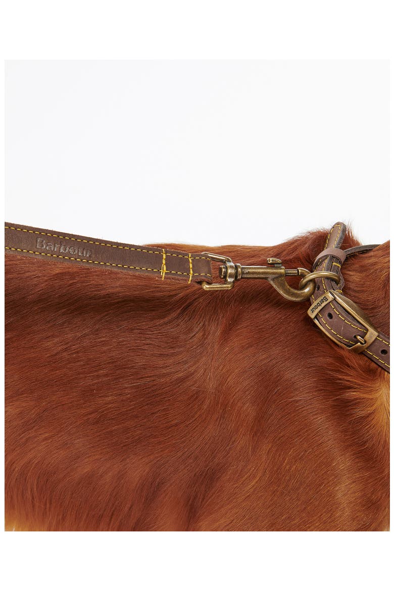 Leather Dog Leash, Alternate, color, CLASSIC TARTAN